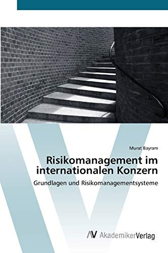 Risikomanagement im internationalen Konzern: Grundlagen und Risikomanagementsysteme (German Edition)