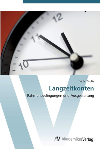 Langzeitkonten: Rahmenbedingungen und Ausgestaltung (German Edition)