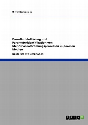 Prozeßmodellierung und Parameteridentifikation von Mehrphasenströmungsprozessen in porösen Medien