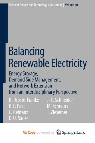 Balancing Renewable Electricity Energy Storage, Demand Side Management, and Network Extension from an Interdisciplinary Perspective