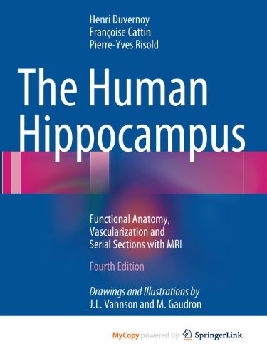 The Human Hippocampus