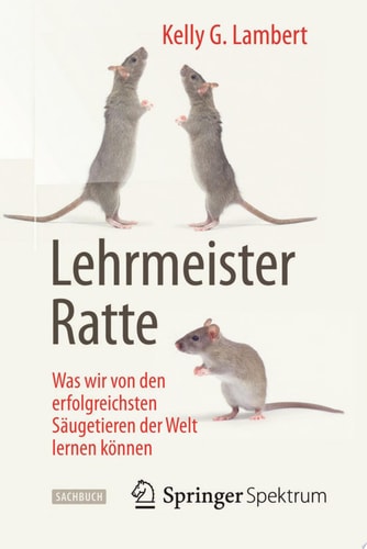 Lehrmeister Ratte