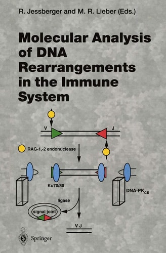 Molecular Analysis of DNA Rearrangements in the Immune System
