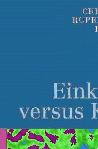 Einkommen versus Konsum Ansatzpunkte zur Steuerreformdiskussion