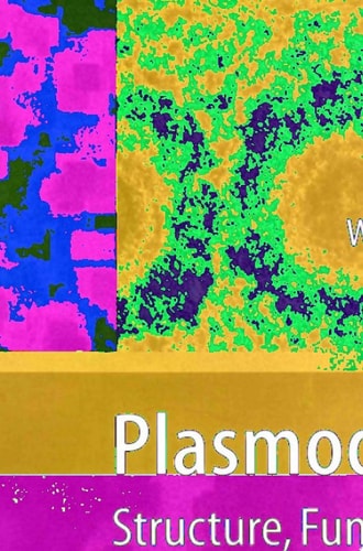Plasmodesmata