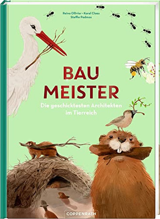 Baumeister: die geschicktesten Architekten im Tierreich