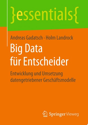 Big Data für Entscheider