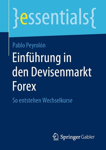 Einführung in den Devisenmarkt Forex So entstehen Wechselkurse
