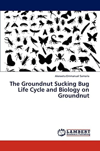 The Groundnut Sucking Bug Life Cycle and Biology on Groundnut