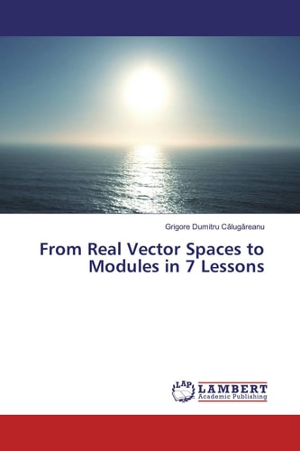From Real Vector Spaces to Modules in 7 Lessons