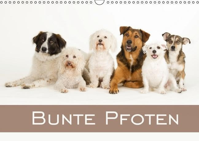 Bunte Pfoten Geburtstagskalender Wan