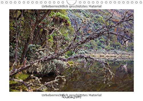 Rwenzori Us Version Wall Calendar 2015