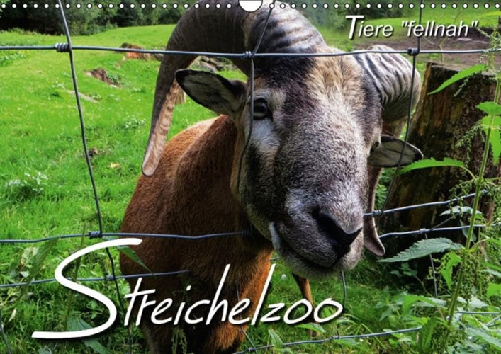 Streichelzoo Tiere Fellnah Wandkal