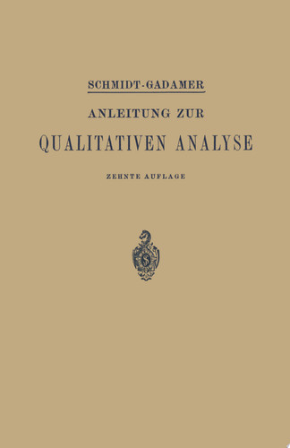 Anleitung zur Qualitativen Analyse