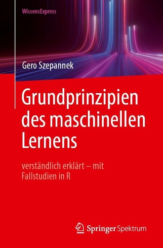 Grundprinzipien des maschinellen Lernens: verständlich erklärt - mit Fallstudien in R (German Edition)