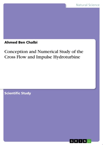 Conception and Numerical Study of the Cross Flow and Impulse Hydroturbine