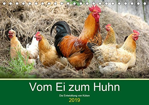 Vom Ei zum Huhn. Die Entwicklung von Küken (Tischkalender 2019 DIN A5 quer): Die erstaunliche Geburt von niedlichen Küken (Monatskalender, 14 Seiten )