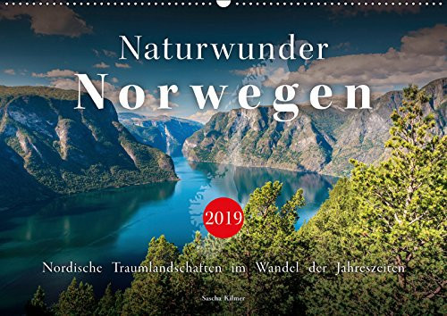 Naturwunder Norwegen (Wandkalender 2019 DIN A2 quer): Norwegische Traumlandschaften im Wandel der Jahreszeiten (Monatskalender, 14 Seiten )
