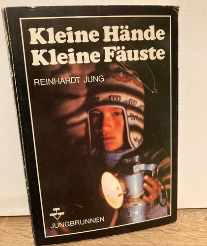 Kleine Hände, kleine Fäuste: Ausbeutung und Widerstand der Kinder in Lateinamerika (German Edition)