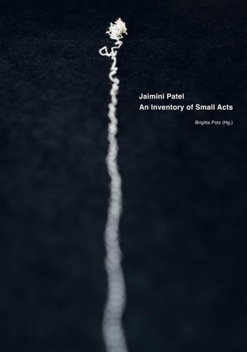 Jaimini Patel an inventory of small acts