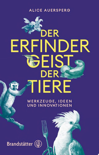 Der Erfindergeist der Tiere Werkzeuge, Ideen und Innovationen