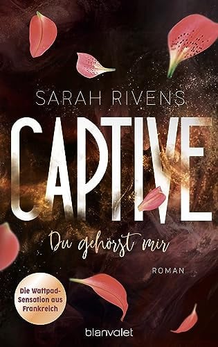 Captive - Du gehörst mir Roman