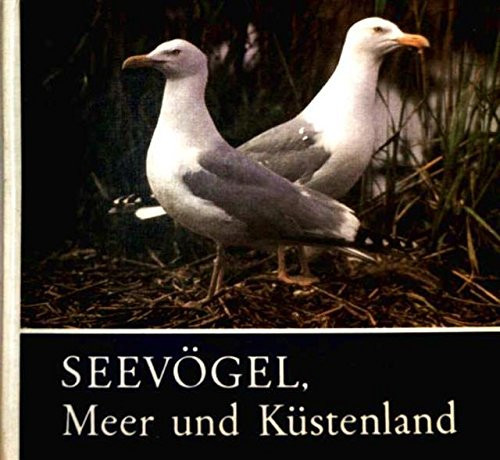 Seevögel, Meer und Küstenland für junge Natur- und Tierfreunde