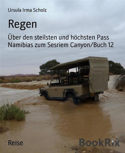 Regen - Über den steilsten und höchsten Pass Namibias zum Sesriem Canyon/Buch 12