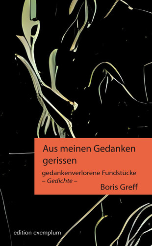 Aus meinen Gedanken gerissen gedankenverlorene Fundstücke - Gedichte