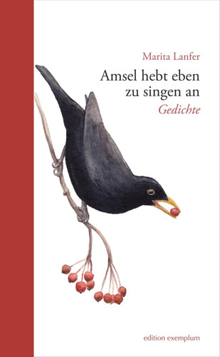 Amsel hebt eben zu singen an Gedichte