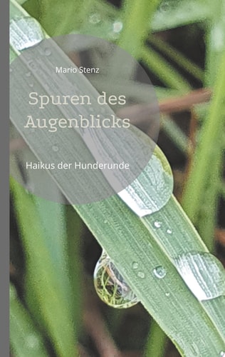 Spuren des Augenblicks Haikus der Hunderunde