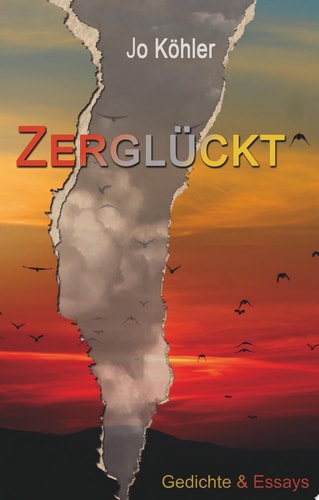 Zerglückt Gedichte und Essays