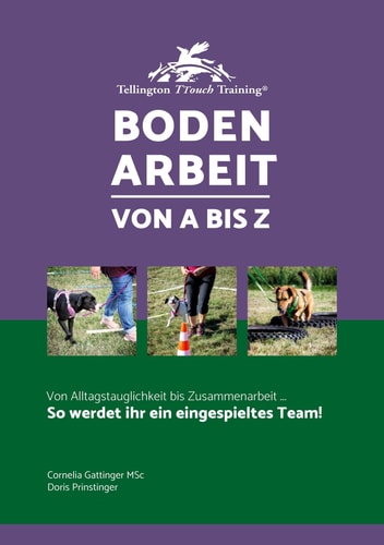 Bodenarbeit von A bis Z So werdet ihr ein eingespieltes Team