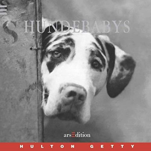 Hundebabys