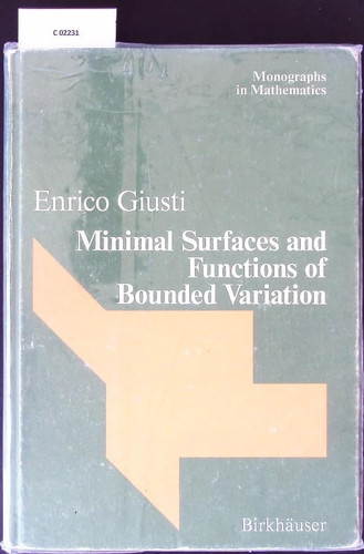 Minimal Surfaces and Functions of Bounded Variation