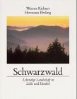 Schwarzwald. Lebendige Landschaft in Licht und Dunkel.