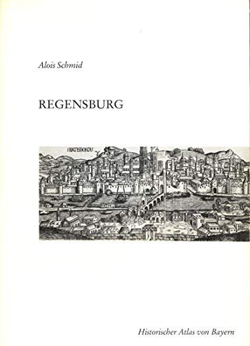 Regensburg: Reichsstadt, Fürstbschof, Reichsstifte, Herzogshof (Historischer Atlas von Bayern) (German Edition)