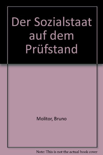 Der Sozialstaat auf dem Prüfstand (German Edition)