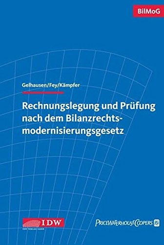 Rechnungslegung und Prüfung nach dem Bilanzrechtsmodernisierungsgesetz Kommentar