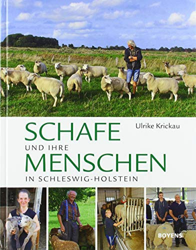 Schafe und ihre Menschen in Schleswig-Holstein