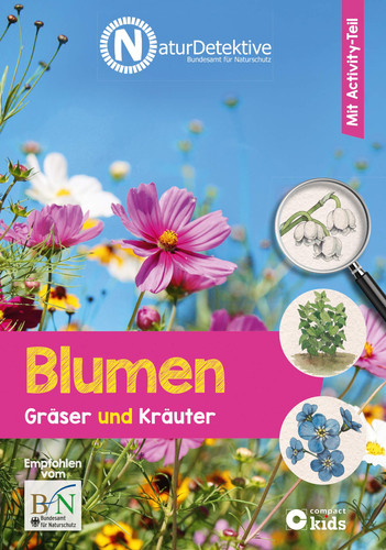 Blumen, Gräser und Kräuter