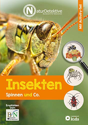 Insekten, Spinnen und Co