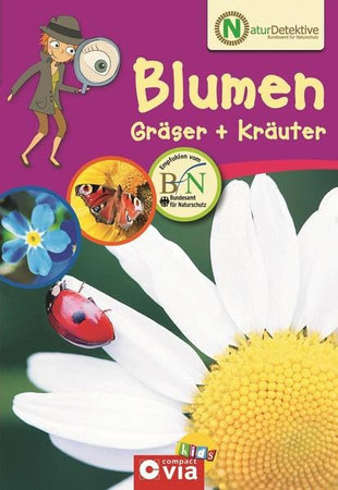 Blumen, Gräser + Kräuter