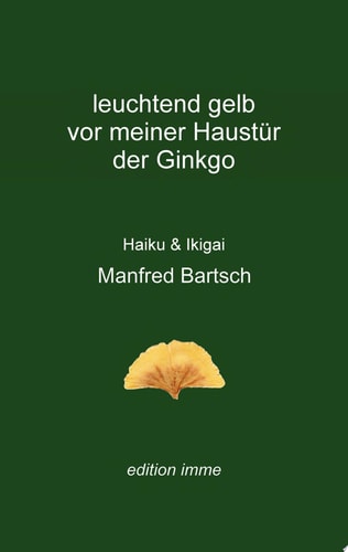 leuchtend gelb vor meiner Haustür der Ginkgo Haiku & Ikigai