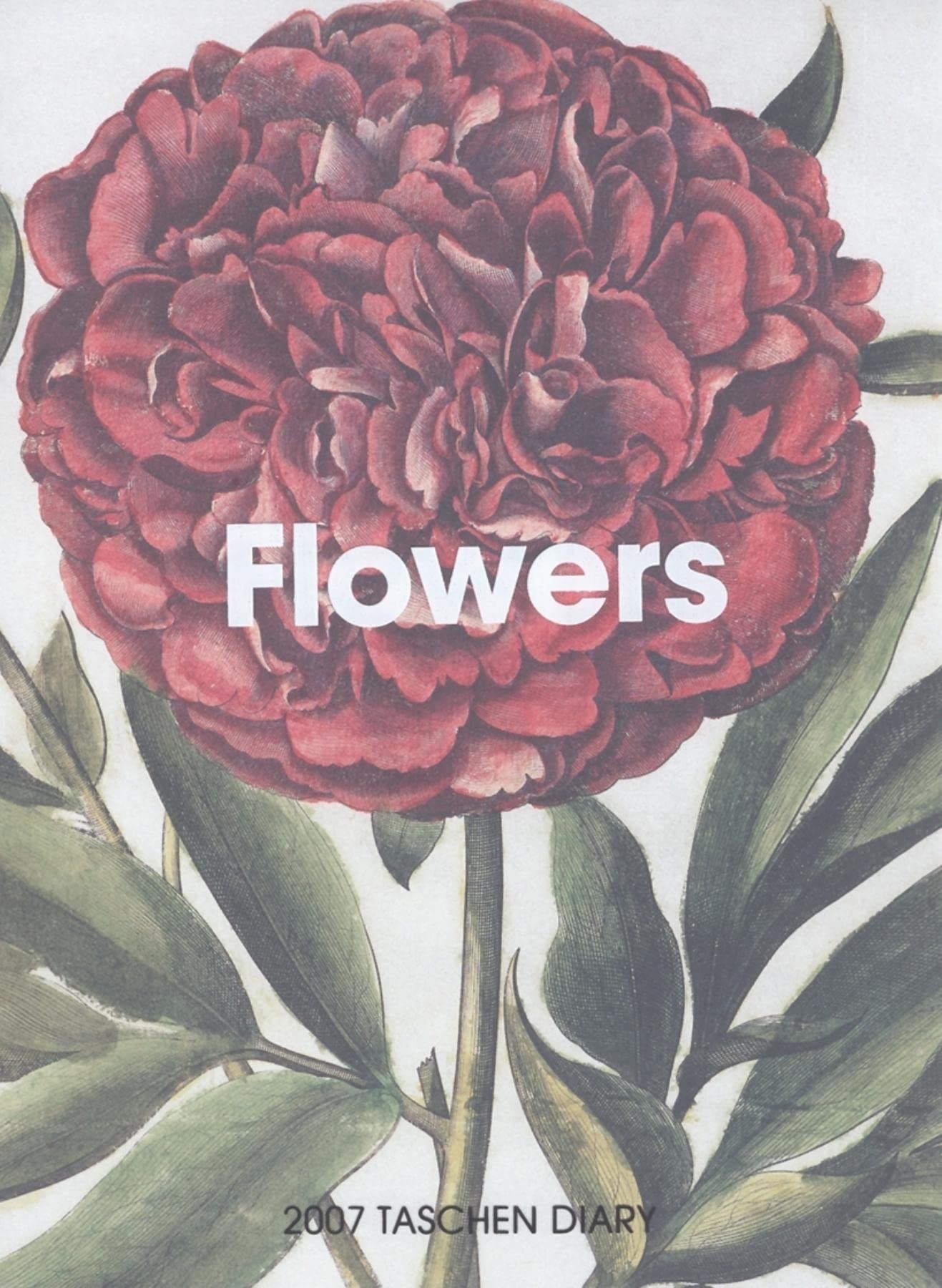 Flowers 2007 Diary