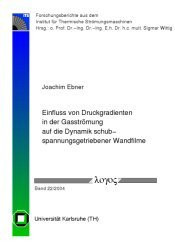 Einfluss von Druckgradienten in der Gasströmung auf die Dynamik schubspannungsgetriebener Wandfilme