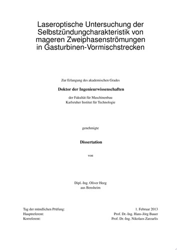 Laseroptische Untersuchung der Selbstzündungcharakteristik Von Mageren Zweiphasenströmungen in Gasturbinen-Vormischstrecken