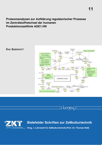Proteomanalysen zur Aufklärung regulatorischer Prozesse im Zentralstoffwechsel der humanen Produktionszelllinie AGE1.HN