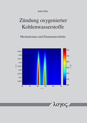 Zündung oxygenierter Kohlenwasserstoffe Mechanismus und Elementarschritte