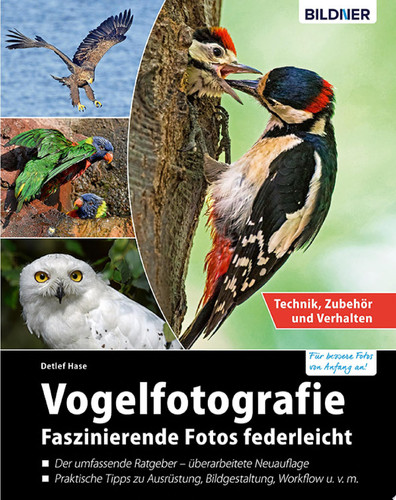 Vogelfotografie: Faszinierende Fotos federleicht